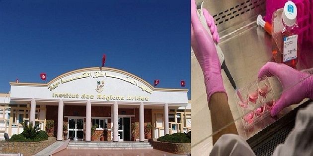 نجلاء بن ميلود باحثة بالمركز الوطني للعلوم و التكنولوجيا النووية  : البحث العلمي لابد ان يخرج من جدران المخابر والجامعات ليعالج مسائل حيوية ويخدم المجتمع  