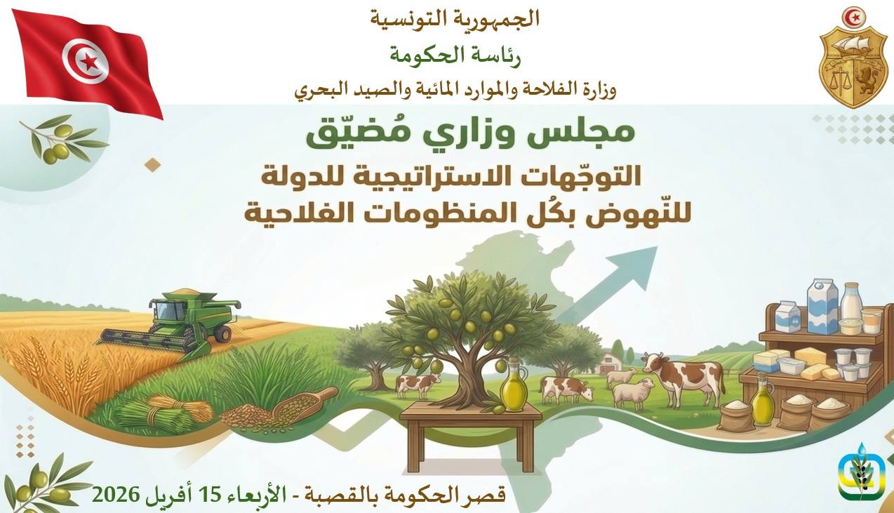 استراتيجية الدولة خلال الفترة 2026-2030 في منظومات الحبوب وزيت الزيتون والأعلاف وتربية الماشية والألبان