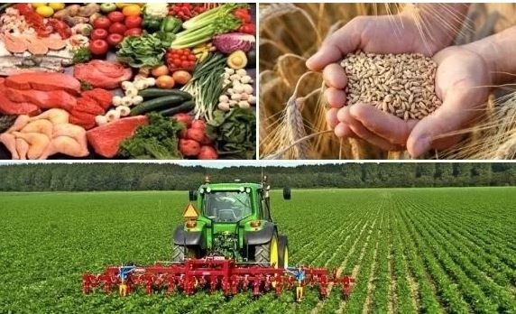 مجلس وزاري مضيق برئاسة الحكومة: أهم التوصيات للنهوض بالمنظومات الفلاحية في تونس