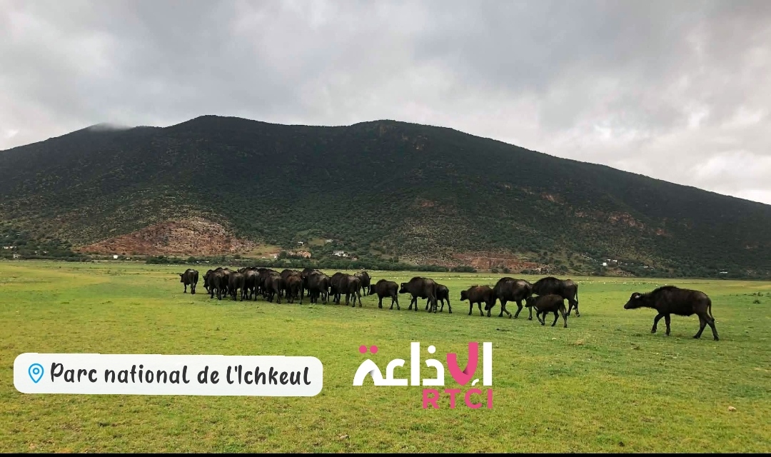 Temps instable et vents soutenus aujourd'hui sur plusieurs régions