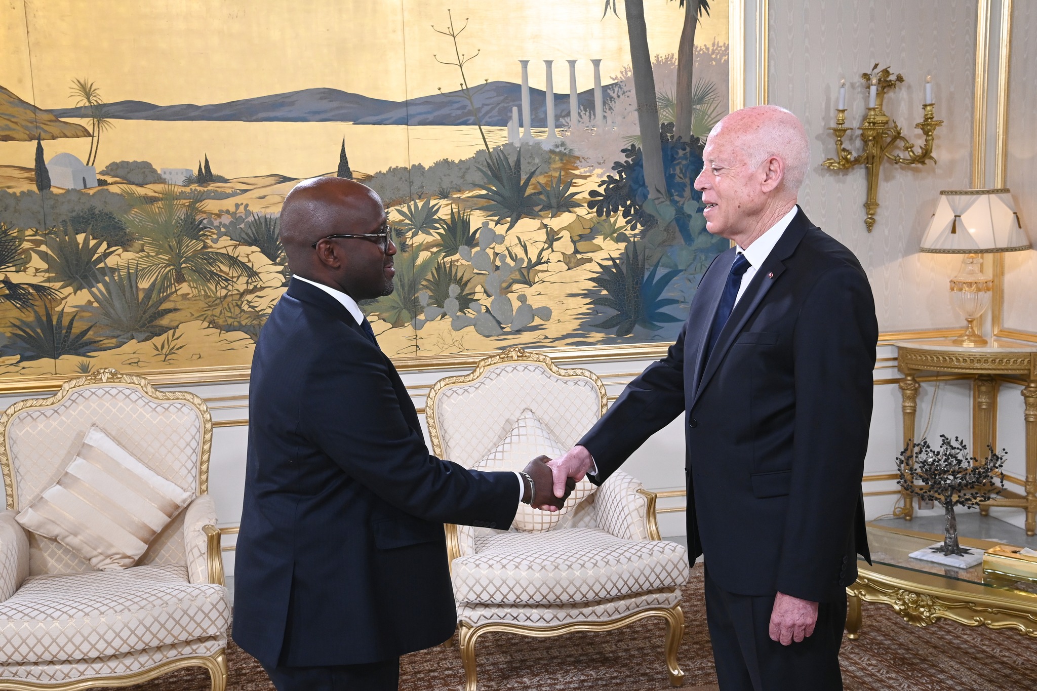 رئيس الجمهورية: تونس تعتزّ بانتمائها الإفريقي وتتطلّع إلى إرساء نظام إنساني جديد