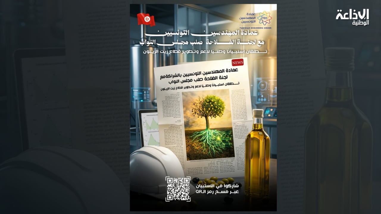 إطلاق استبيان وطني لدعم وتطوير قطاع زيت الزيتون