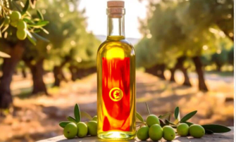 Oléiculture : une consultation nationale pour moderniser le secteur