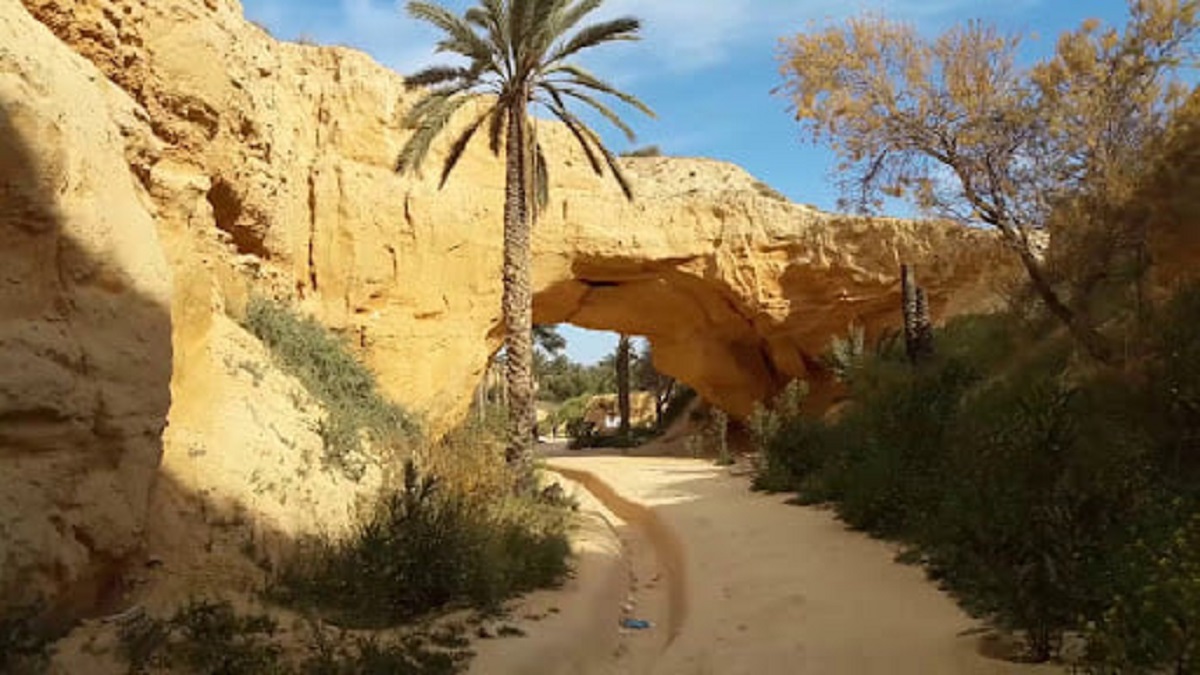 ادراج "الحديقة الجيولوجية الظاهر" على قائمة الحدائق الجيولوجية العالمية لليونسكو