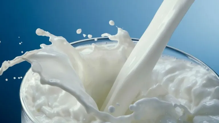 الرابحي: كميات الحليب المعقم المروجة حاليا في السوق التونسية سليمة وصالحة للاستهلاك