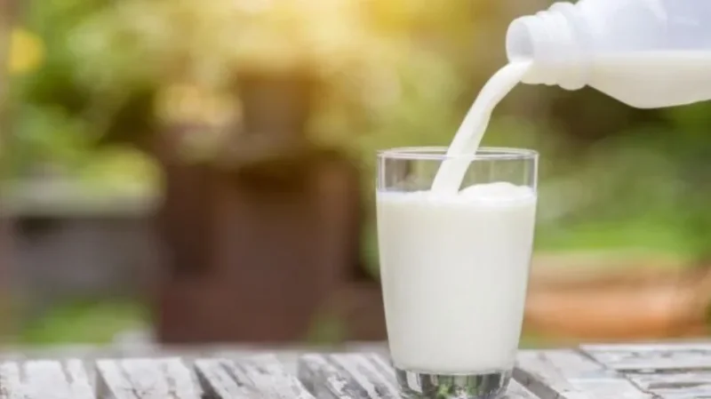 الرابحي: كميات الحليب المعقم المروجة حاليا في السوق التونسية سليمة وصالحة للاستهلاك