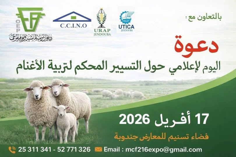 جندوبة: يوم إعلامي حول التسيير المحكم لتربية اللأغنام