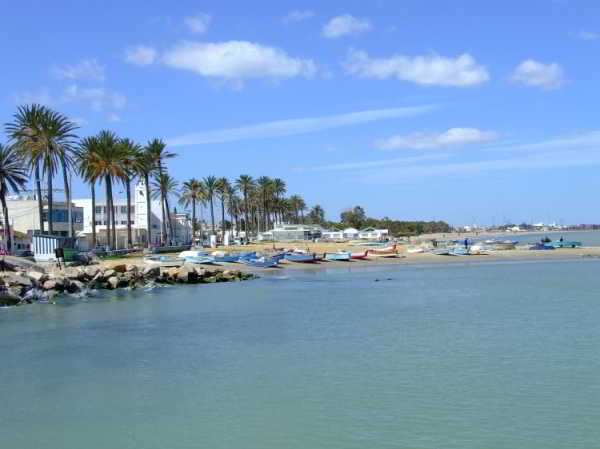 مدينة رادس: يوم مفتوح للنظافة على مستوى الواجهة البحرية