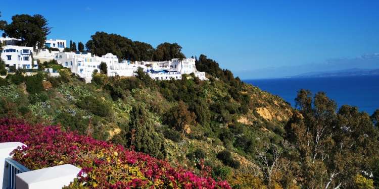 الحكومة تقرّ مشاريع كبرى لحماية هضبة سيدي بوسعيد وتطوير مؤسسات التعليم العالي وتسريع تنفيذها