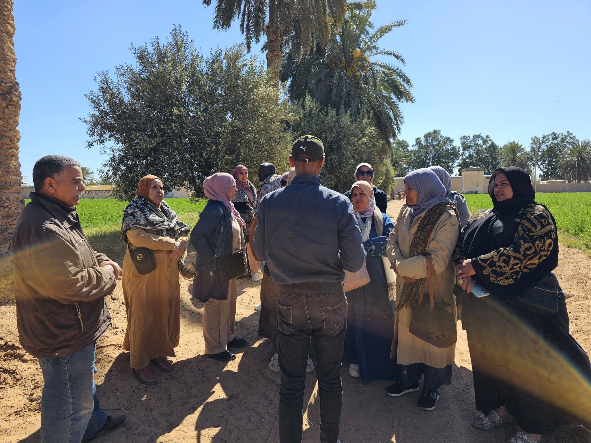 قبلي: دورات تكوينية فلاحية بجمنة لفائدة الباعثين الشبان والفلاحين