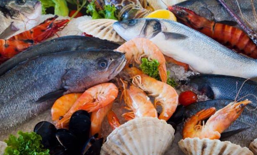 يتواصل إلى غاية يوم  23 أفريل الجاري: تونس تُشارك في الصالون الدولي للصيد البحري ببرشلونة