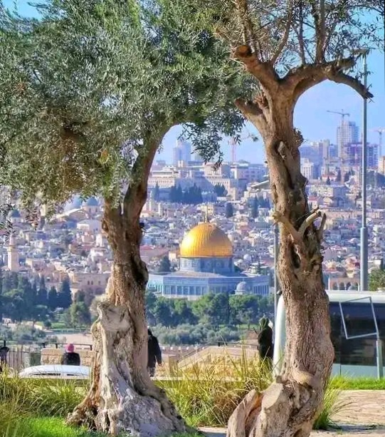 ضباب محلي على المناطق الشرقية للشمال والوسط