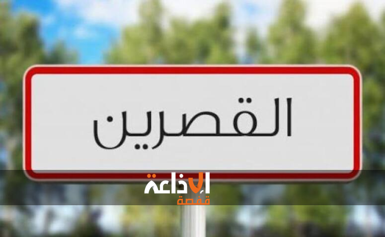  فرع البنك التونسي للتضامن بالقصرين  يساهم في  تمويل اكثر من 800 مشروع في الفلاحة و الصناعات التقليدية و الخدمات  و المهن الصغرى 