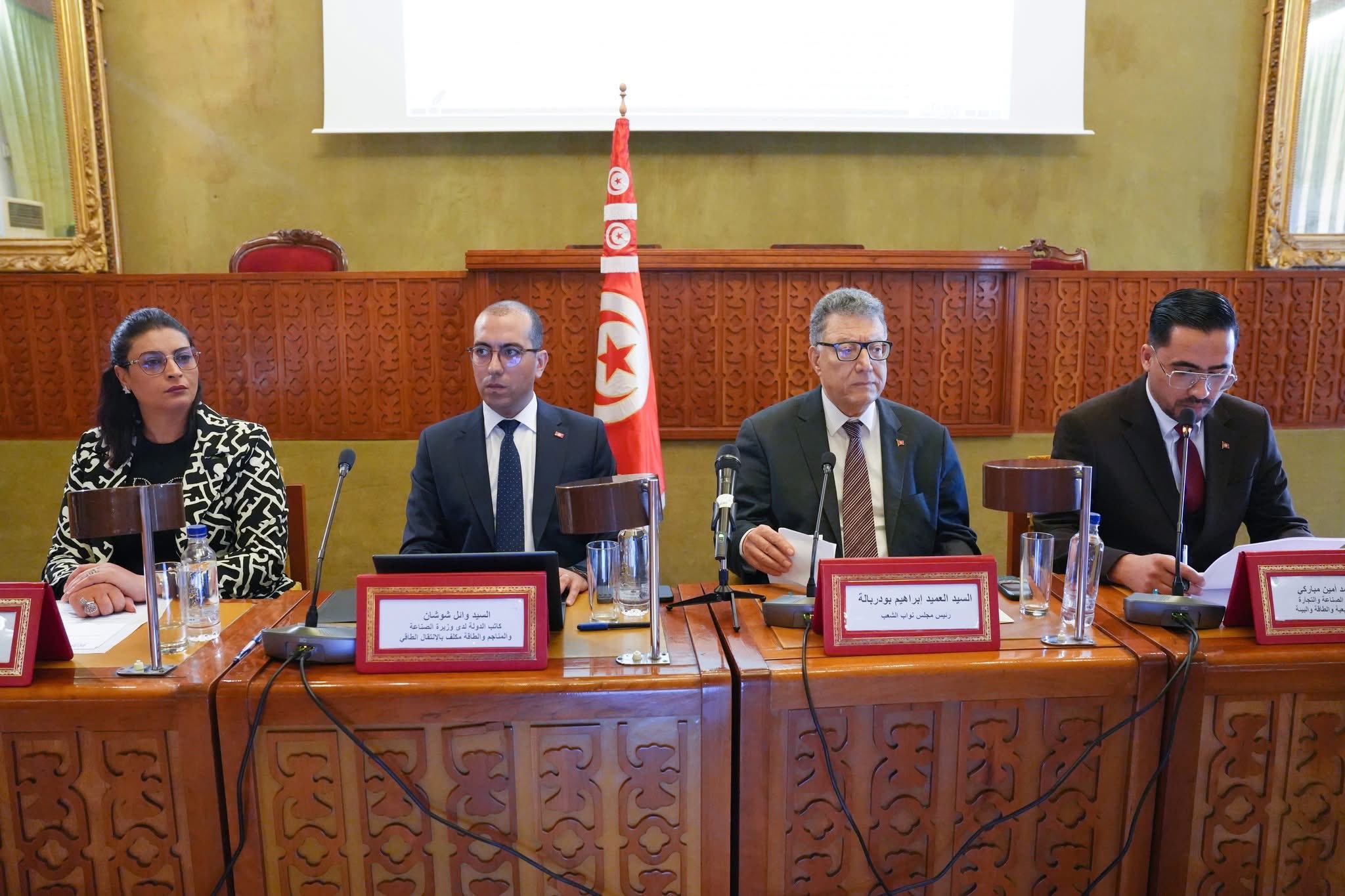 وائل شوشان: المواطن التونسي اكبر منتج ذاتي للكهرباء من الطاقة الشمسية بفضل برنامج "بروسول إلاك".