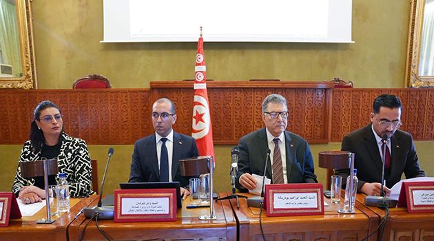 كاتب الدولة المكلف بالانتقال الطاقي : المواطن التونسي اكبر منتج ذاتي للكهرباء من الطاقة الشمسية