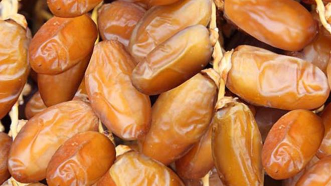 صادرات التمور التونسية تبلغ 108 آلاف طن بقيمة 705 ملايين دينار حتى 10 أفريل 2026