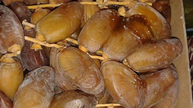 صادرات التمور التونسية تبلغ 108 آلاف طن بقيمة 705 ملايين دينار حتى 10 أفريل 2026