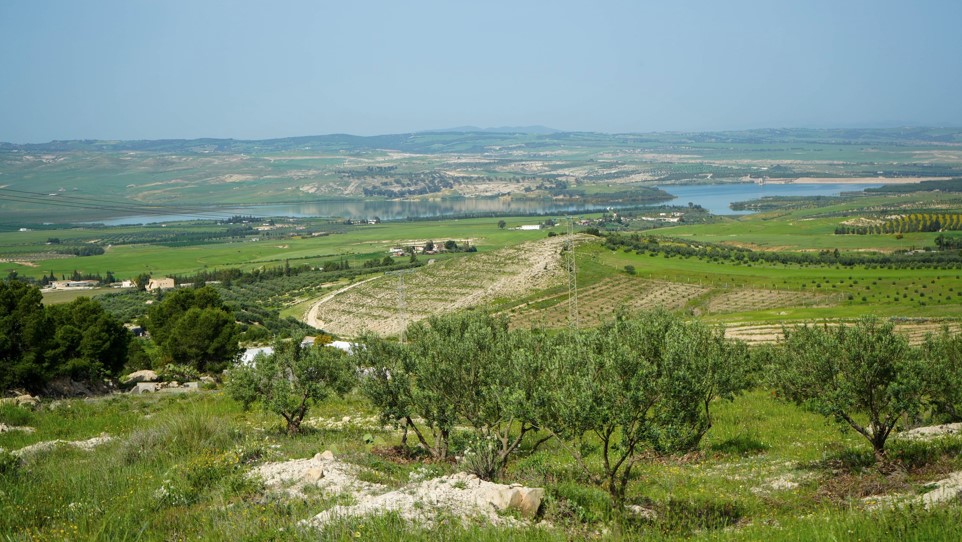 اتفاقية إطارية لتعزيز البحث العلمي والتعاون التقني في القطاع الفلاحي 