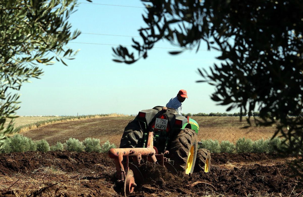 قفصة: خط تمويل بـ10 ملايين دينار لدعم صغار الفلاحين بقروض موسمية بشروط ميسّرة