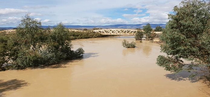  تعطل مشروع إنجاز سد على وادي تاسة المشترك بين ولايتي سليانة والكاف يعود الى عدم حل الإشكاليات العقارية  بالنسبة الى ولاية سليانة