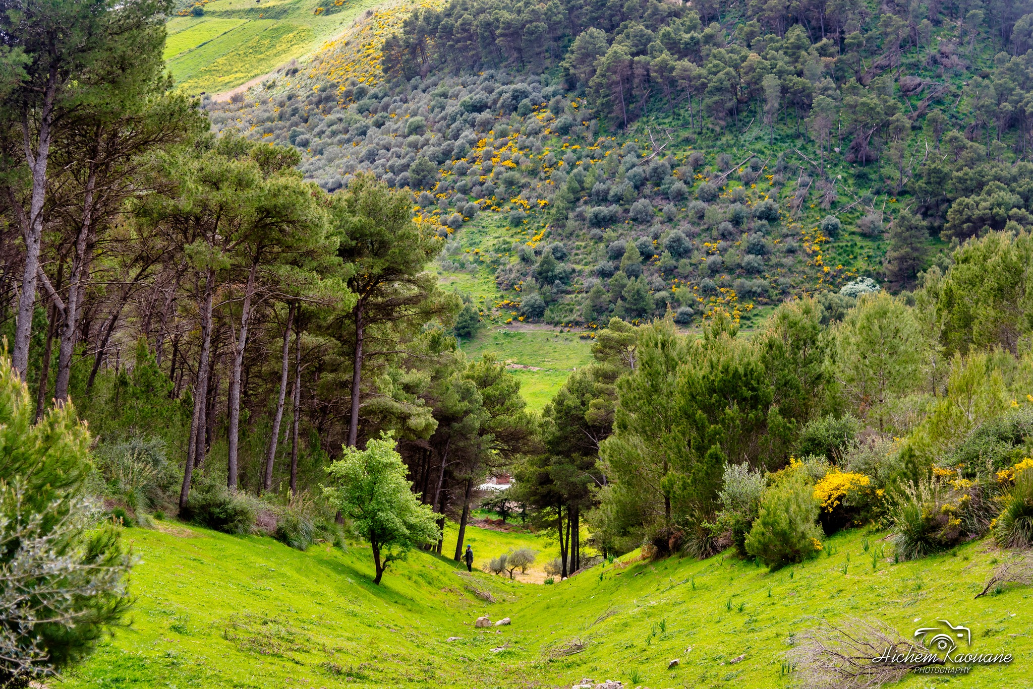 Temps ensoleillé et températures agréables sur l’ensemble du pays