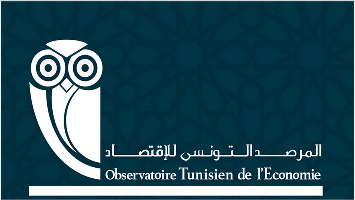 تنبيه إلى "المخاطر" التي تهدّد السيادة الوطنية والتوازنات المالية للبلاد في ما يخص إسناد لزمات إنتاج الكهرباء من الطاقات المتجددة.