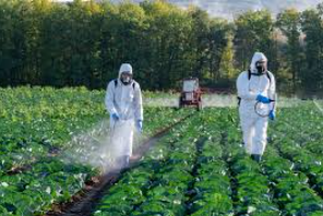 Pesticides : les experts alertent sur une menace sanitaire et environnementale