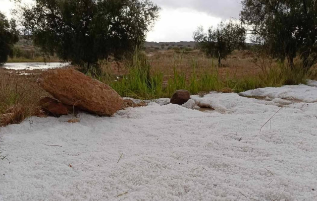 خلال الـ24 ساعة الماضية: تساقط البَرد ببعض المناطق وكميات الأمطار بلغت 36 مم بسبيطلة