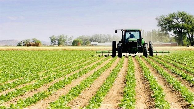 تطورالاستثمارات الفلاحية المصادق عليها خلال الثلاثي الأول بولايات باجة وجندوبة والكاف 