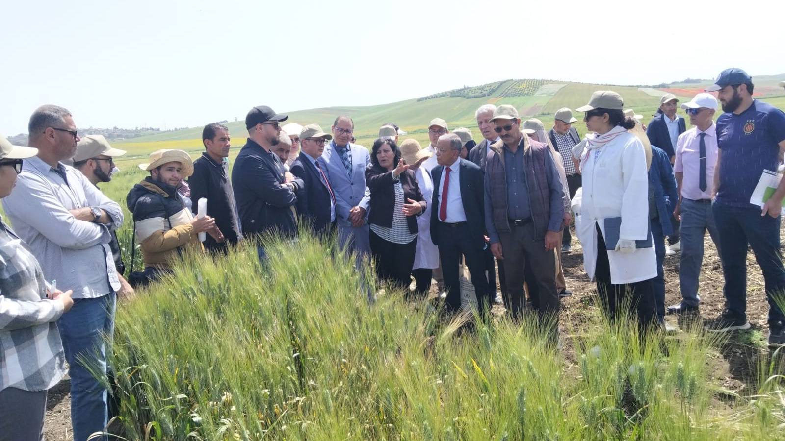 وزارة الفلاحة: البذور الممتازة متوفرة ويجب تثمين نتائج البحث العلمي عبر الترفيع في نسبة استعمالها