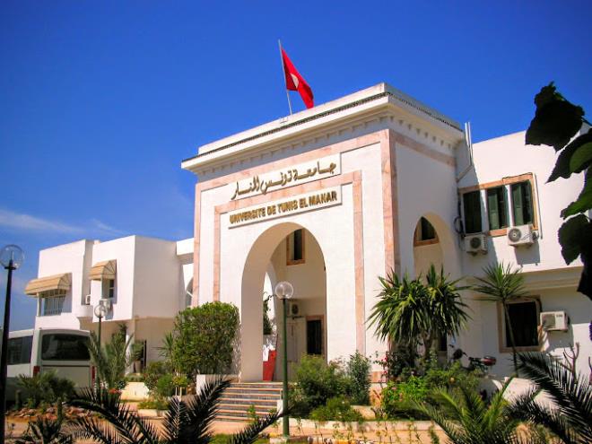 جامعة تونس المنار تطلق يوم 6 ماي 2026 منصة رقمية مبتكرة لتطوير البحث العلمي