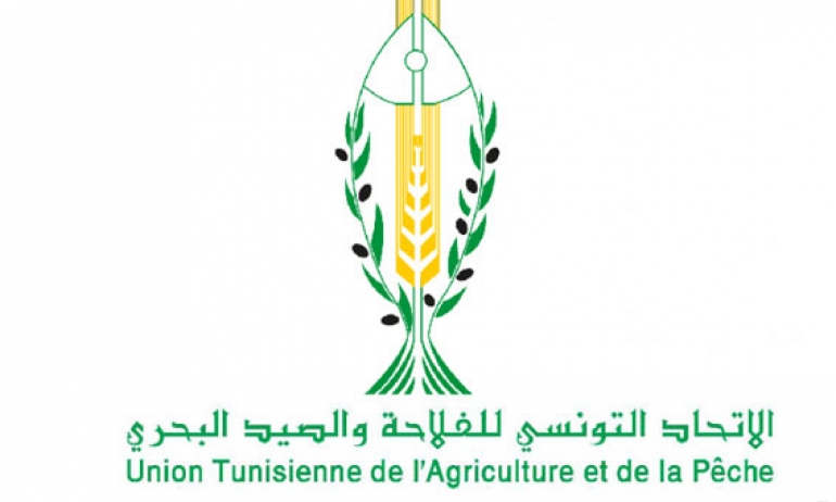 اتحاد الفلاحة يطالب بالترفيع في أسعار قبول الحبوب وتمديد آجال منحة التسليم السريع