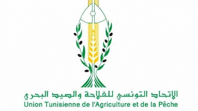 إتحاد الفلاحة  يطالب بضرورة الترفيع في أسعار قبول الحبوب 