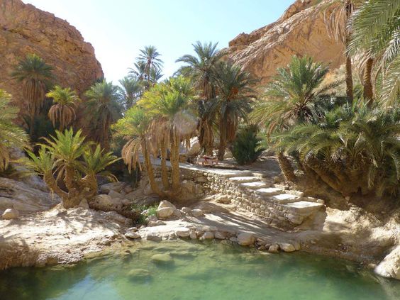 طقس مغيم و  الحرارة تتراوح  بين 19 و 41 درجة 
