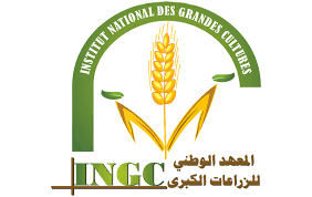 يوم  اعلامي  ببوسالم  حول " أهمية الاصناف المحلية التونسية للقمح الصلب في مجابهة التغيرات المناخية 