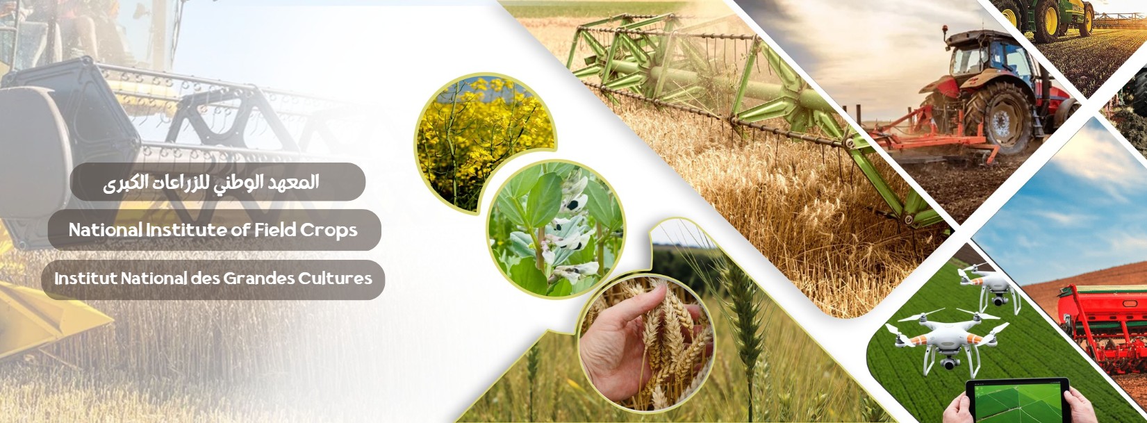 Préserver les terres agricoles face au changement climatique : une campagne de sensibilisation en direction des petits agriculteurs