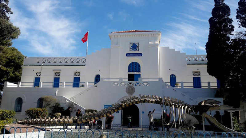 بداية من الغد: فتح المحميات الطبيعية ودار الحوت بصلامبو مجانا لمدّة أسبوع