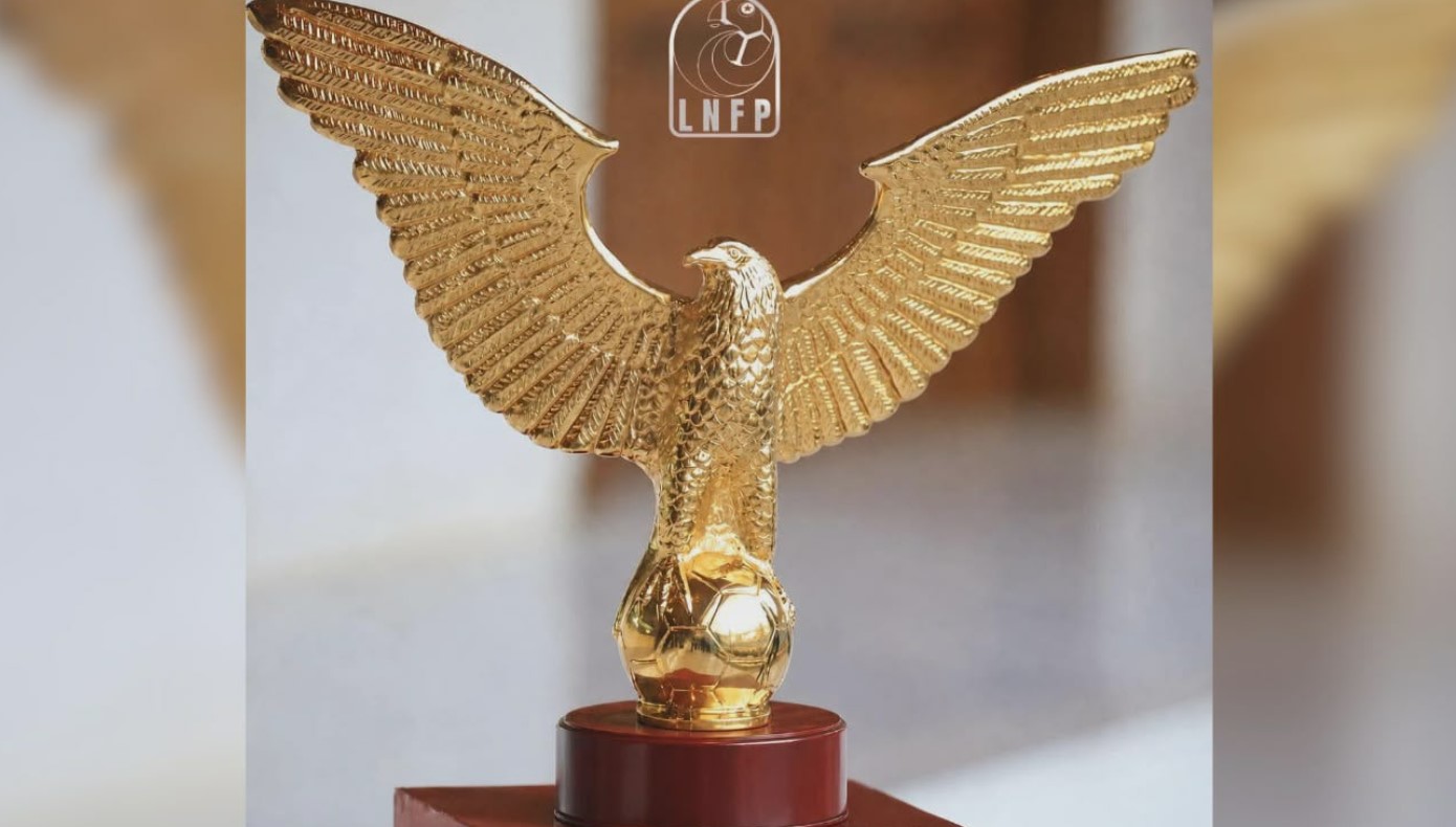 الرابطة المحترفة: الخميس المقبل موعد تسليم رمز البطولة للنادي الإفريقي