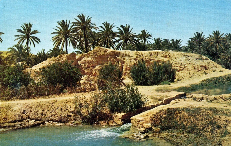 سحب عابرة بأغلب المناطق  و الحرارة في ارتفاع طفيف  