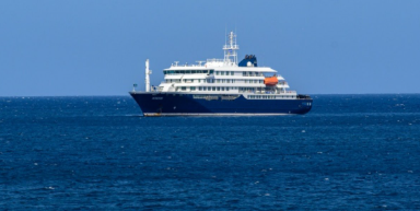 Hantavirus : l’OMS surveille un foyer apparu à bord d’un navire de croisière