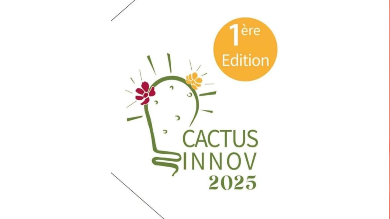 اليوم الثلاثاء: تنظيم الدورة الأولى لتظاهرة "CACTUS INNOV"