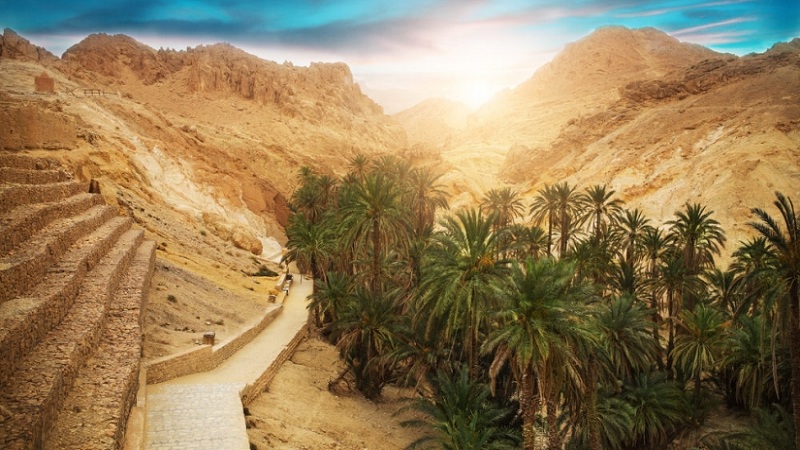 قبلي : تكثيف عمليات تفقد الوحدات السياحية و حملات النظافة والعناية بالمحيط 