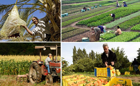 62e anniversaire de l’évacuation agricole : quel avenir pour la souveraineté alimentaire ?