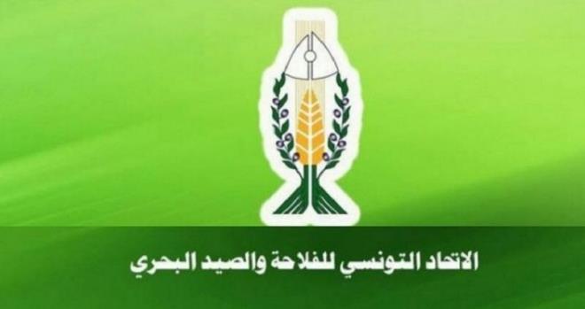 إتحاد الفلاحة يدعو إلى إحداث المجلس الأعلى للسيادة الغذائية كآلية وطنية جامعة من شأنها دعم الأمن الغذائي