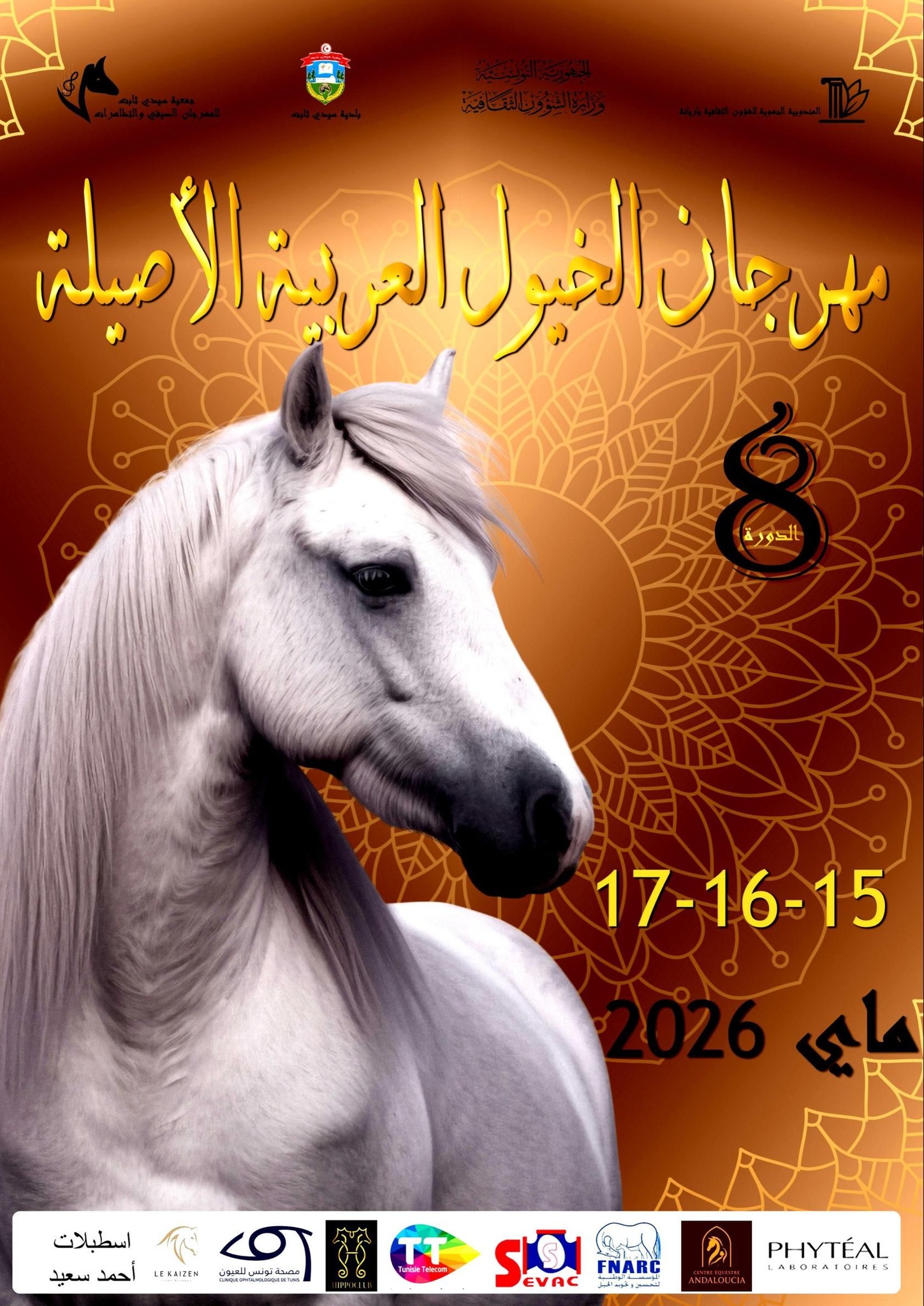 الدورة الثامنة لمهرجان الخيول العربية الاصيلة بسيدي ثابت من 15 الى 17 ماي 2026