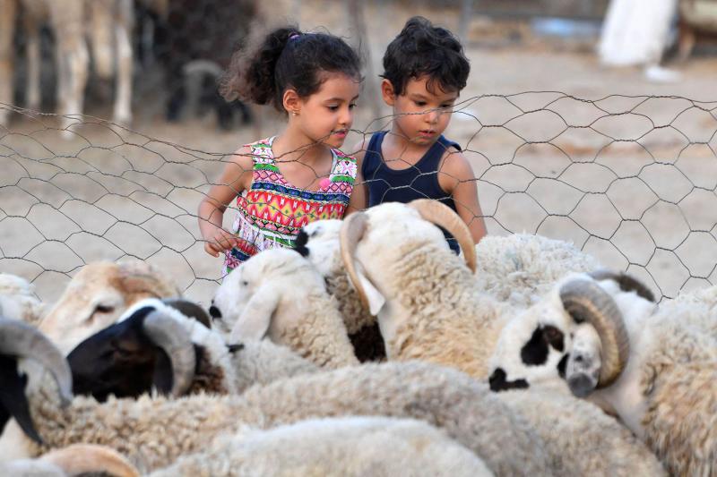 فلكيا: عيد الأضحى يوم الأربعاء 27 ماي الجاري