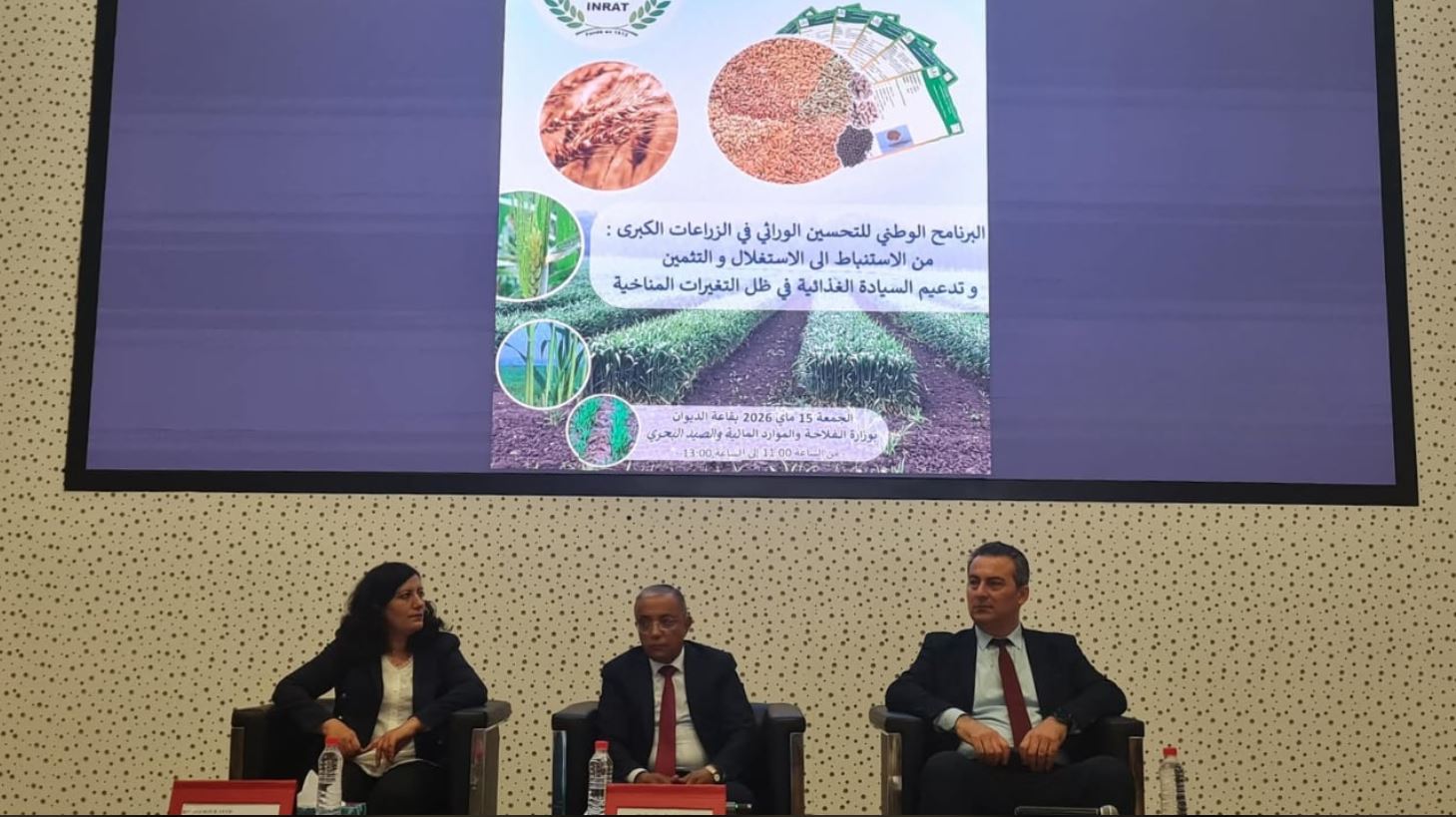 الزراعات الكبرى في تونس تمسح 1,6 مليون هك وتستقطب حوالي 50% من اليد العاملة