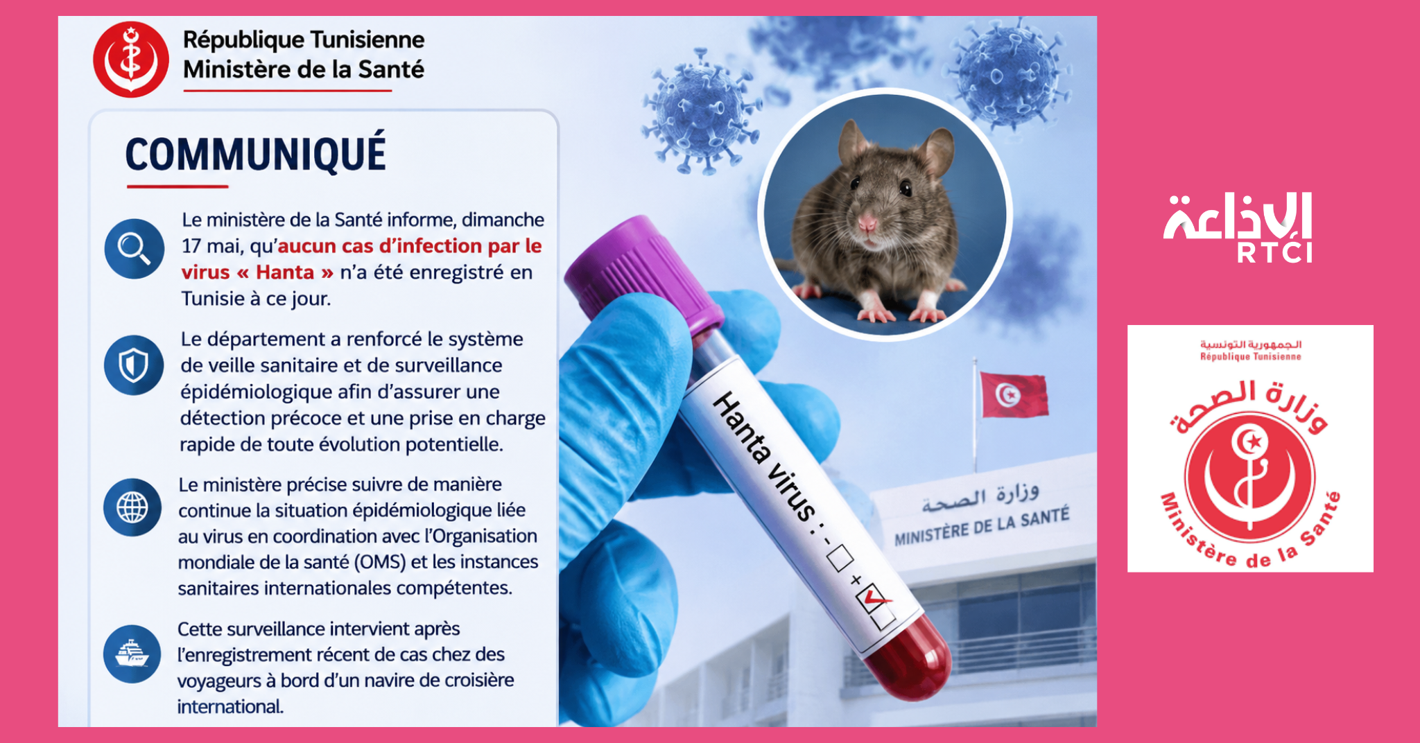 Virus Hanta : Aucun cas enregistré en Tunisie, le ministère de la Santé renforce la veille sanitaire