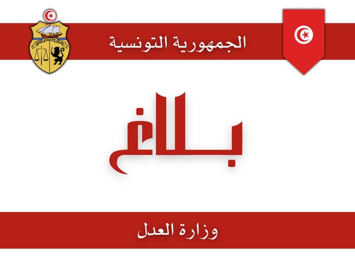 وزارة العدل: تحركات هيئة المحامين لا تأثير لها على سير مرفق العدالة