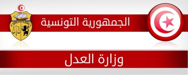 وزارة العدل: تحركات هيئة المحامين لا تأثير لها على سير مرفق العدالة